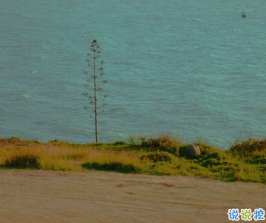 适合十一月发朋友圈温暖人心的文案 放弃不难但坚持一定很酷15