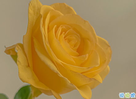 2021朋友圈很丧很绝望的温柔文案 所有的情绪我一样也没躲过1