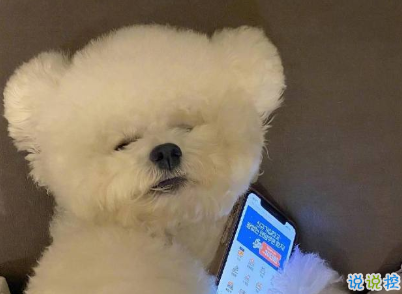 冬季发朋友圈的唯美句子带图片 坠欢莫拾酒痕在衣9