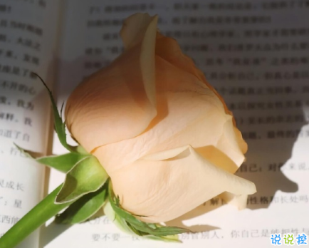 好天气好心情外出郊游的心情说说 适合心情很好的正能量文案1