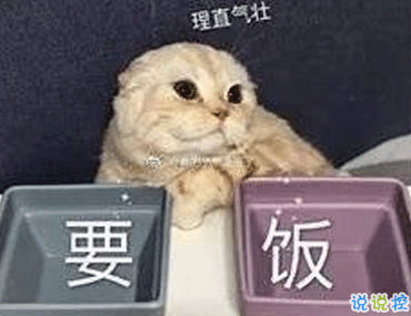 双十一笑死人的有趣请假文案 你们今天请假可以用的理由2