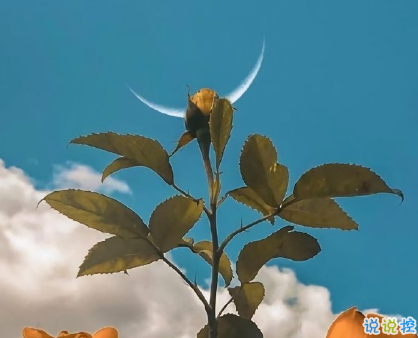 2021关于情绪的高级情绪文案 很A很激烈的情绪说说1