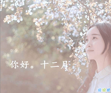 2020十二月来临的惊艳文艺句子 长安十二月月月风花雪1