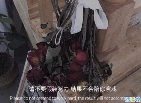 揭穿人生真相的经典句子 值得深思的精辟语录4