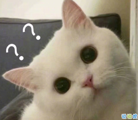 2021超级幽默可爱的怼人句子大全 2021网络怼人流行语 2