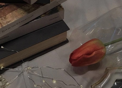 能够上抖音热门的文案 吸引人点击的抖音文案2