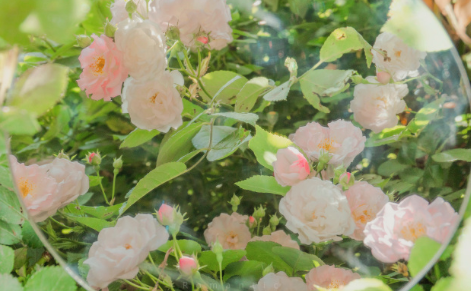 立春励志早安心情说说 立春正能量语录2