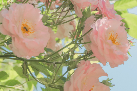 立春励志早安心情说说 立春正能量语录1