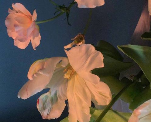 表达遗憾的朋友圈句子大全 深意感慨遗憾的心情说说2