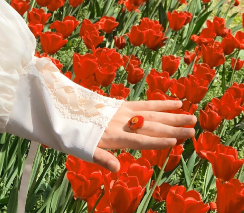 一组前程似锦未来可期的句子 希君生羽翼一化北溟鱼1