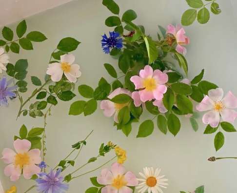 一组前程似锦未来可期的句子 希君生羽翼一化北溟鱼2