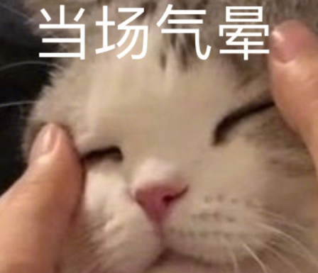 沙雕搞怪的朋友圈自拍文案 2021全新有趣的自拍文案带图片4