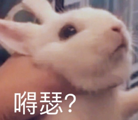 沙雕搞怪的朋友圈自拍文案 2021全新有趣的自拍文案带图片8