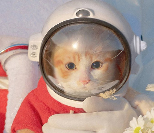 2021让人爆笑的经典搞笑幽默句子 值得收藏的宝藏文案1