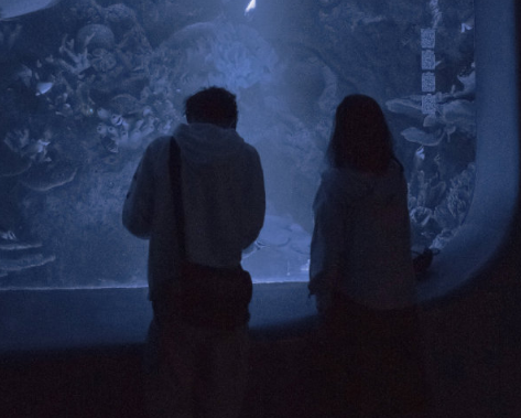 最浪漫的关于爱情微信状态文案 微信状态高级含蓄秀恩爱的文案1