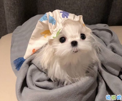 清明节祭英烈寄语简短的 2021清明节缅怀英雄的句子2