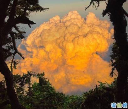 下雨天的句子适合发朋友圈 抖音很火的下雨说说2