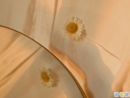 经典网络流行语言大全 网上流行的精辟句子20211