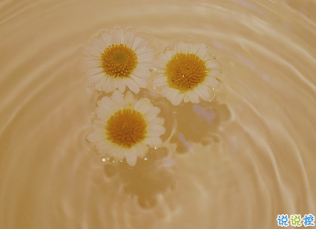 经典网络流行语言大全 网上流行的精辟句子20212