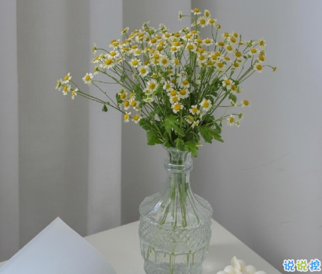 朋友圈文案说说的好句子 发朋友圈的文案短句2