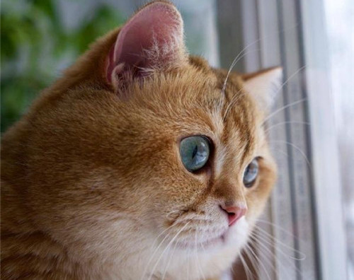 可以戳中中你笑点的搞笑说说带图片6