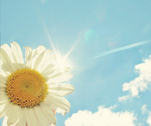 关于读书阅读的哲理精辟有道理的说说带图片9