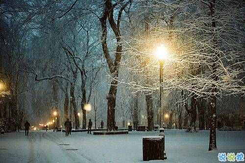 优美说说唯美的句子配图：海底月是天上月，只是镜花水月15