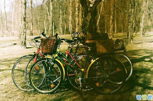 带图片的励志说说人生感悟 别辜负了你的野心也别对不起你受的苦3