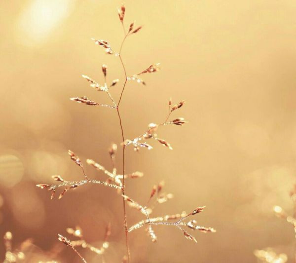 超唯美的经典人生感悟说说带图片 都说人生如戏11