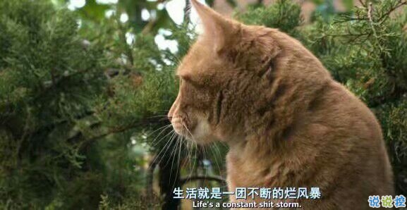 微信励志说说图片带字:有时间绝望,还不如去吃美食然后睡个觉1