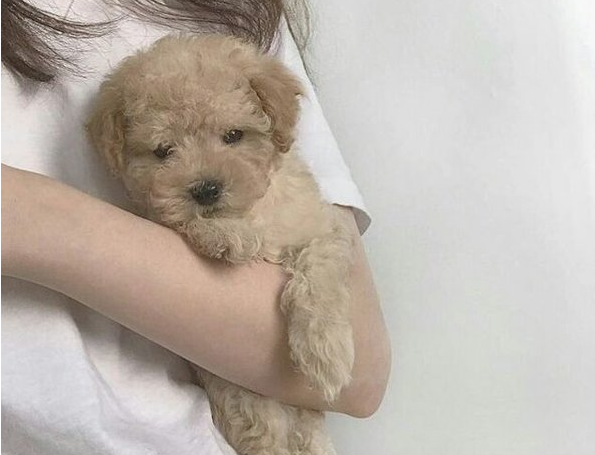 关于生活的很现实的哲理说说有道理的那种10