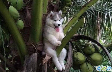 笑死人的搞笑说说超好玩:你以为有钱真的会快乐吗9