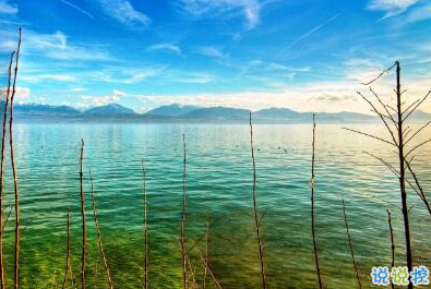 不是每件事都注定会成功，但是每件事都值得一试12