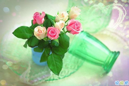 2019关于春分的微信说说带图片 春分节气早安祝福语10