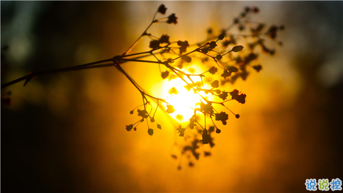 姑娘,我有15句悄悄话说给你听。9