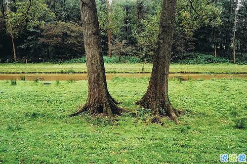 唯美英文励志正能量感悟人生的句子和图片9