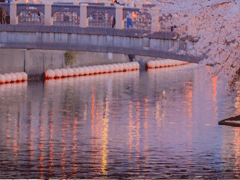 2021就地过年的心情说说 过年不能回家的心情说说