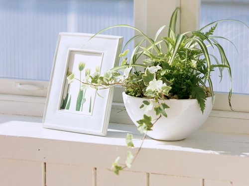 唯美诗意的说说带图片 我饮尽渔火明月秋色无边4