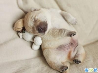 学生党有趣图片带搞笑个性说说 你体验过暴瘦的滋味吗9