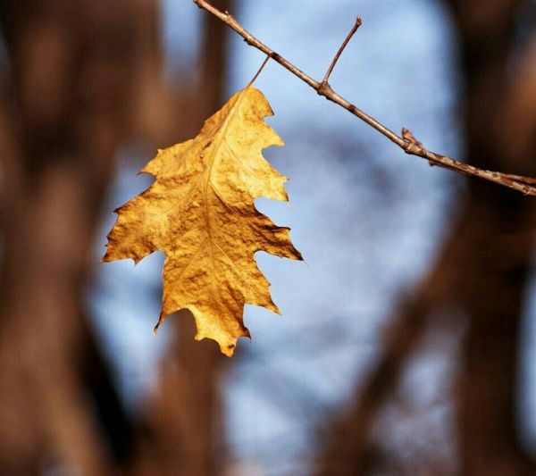 超唯美的经典人生感悟说说带图片 都说人生如戏10