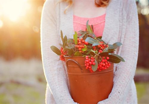 关于青春成长的美到极致的唯美句子带图片7