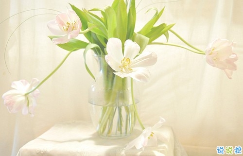 女生唯美伤感说说带图片 一句话描述心情不好的说说8