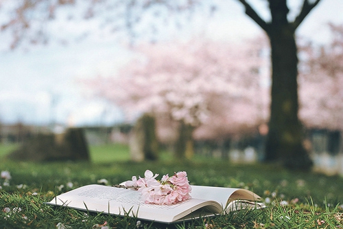 正能量的早安心语写给有点低落沮丧的你的图片说说5