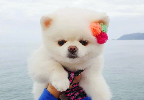 可以戳中中你笑点的搞笑说说带图片11