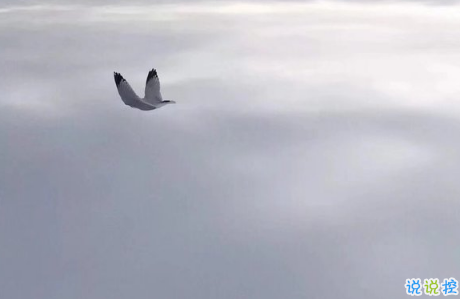 唯美说说配图伤感篇2018:年纪大了只想跟相处不累的人在一起9