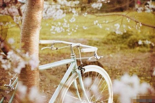 关于现实生活人生的哲理说说带图片 一个人活着应该永远要把目光投向远方14