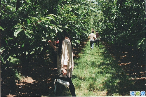 文字控关于青春成长的唯美说说和图片 年华是一场无声剧11