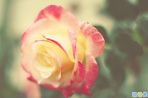 2019关于春分的微信说说带图片 春分节气早安祝福语14