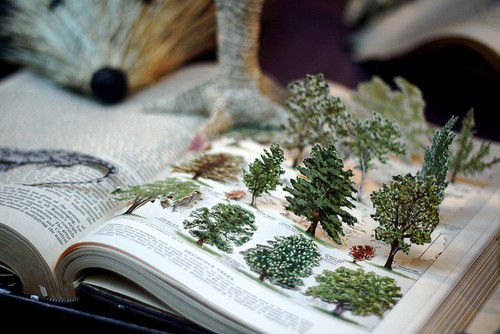 关于读书阅读的哲理精辟有道理的说说带图片11