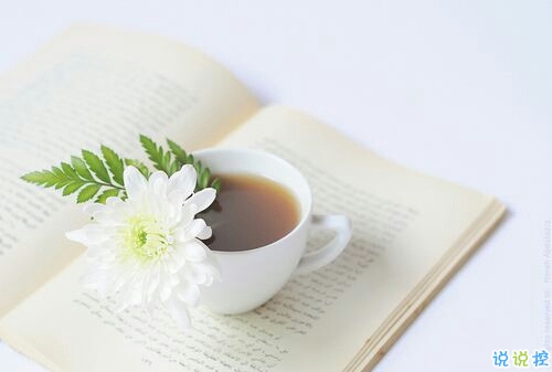 简单唯美的一句话图片说说有道理的那种 生活需要一点诗意1